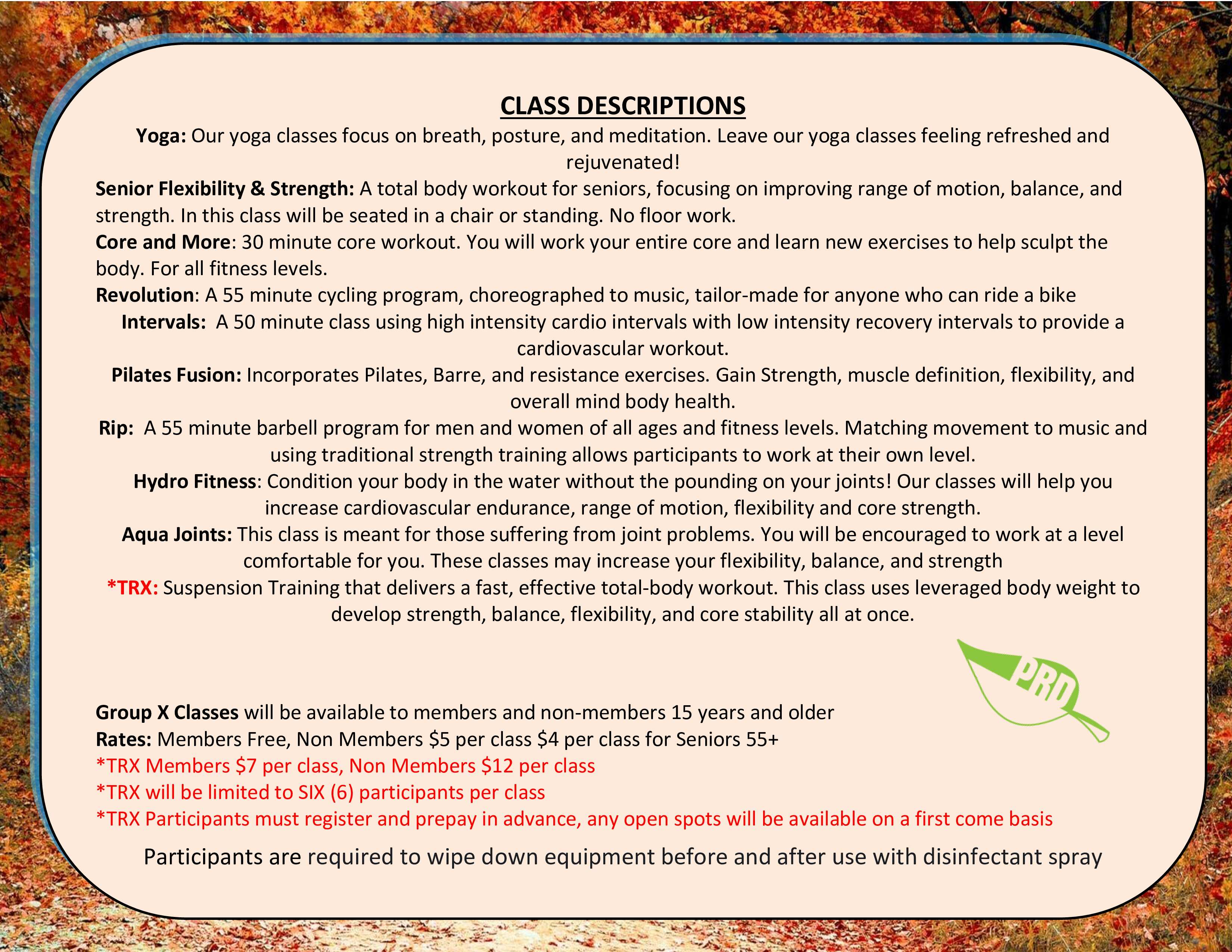 Group x winter 2025.2 back.jpg