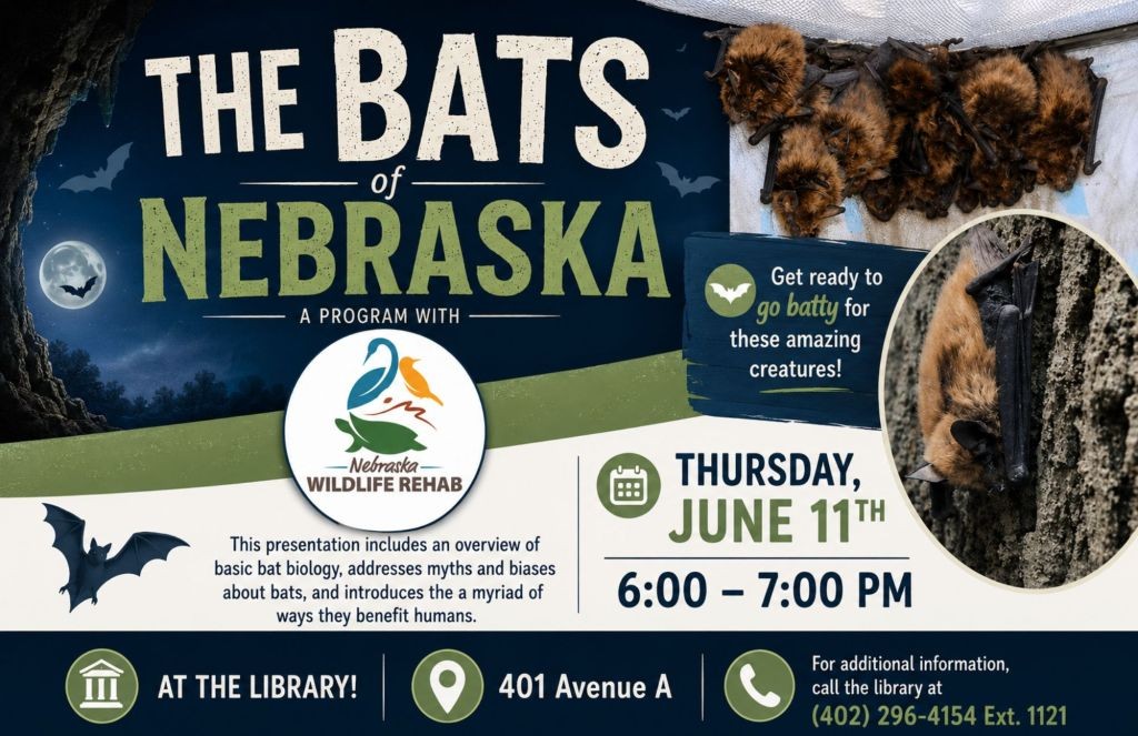 Bats Nebraska202606